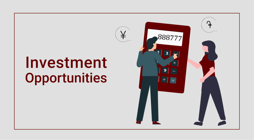 Investment Opportunities